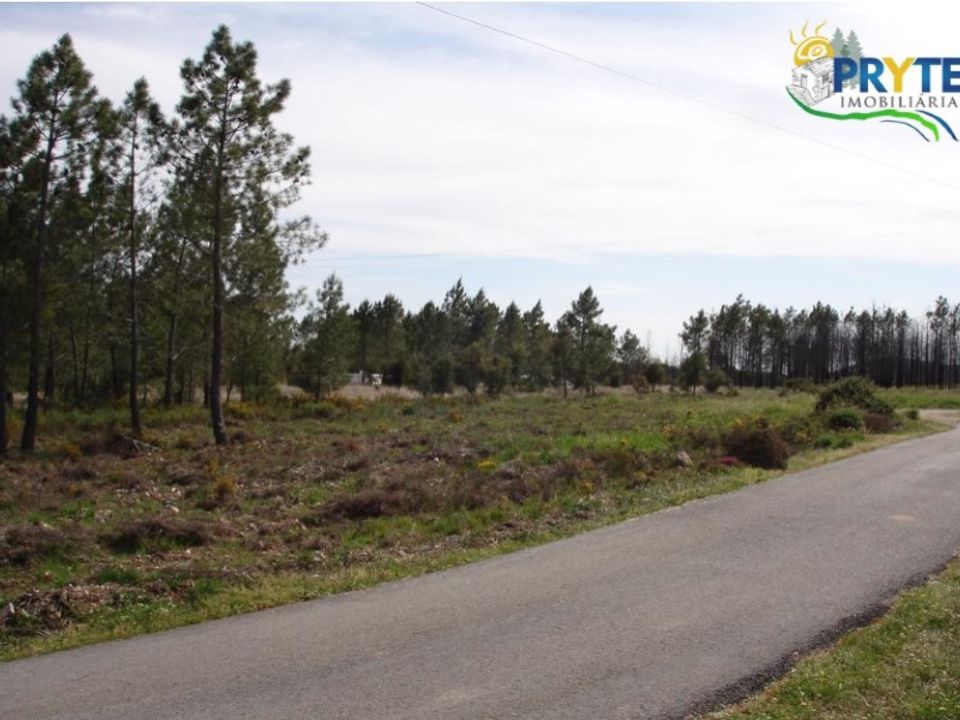 Tomt i Macao, Santarem - foto 2