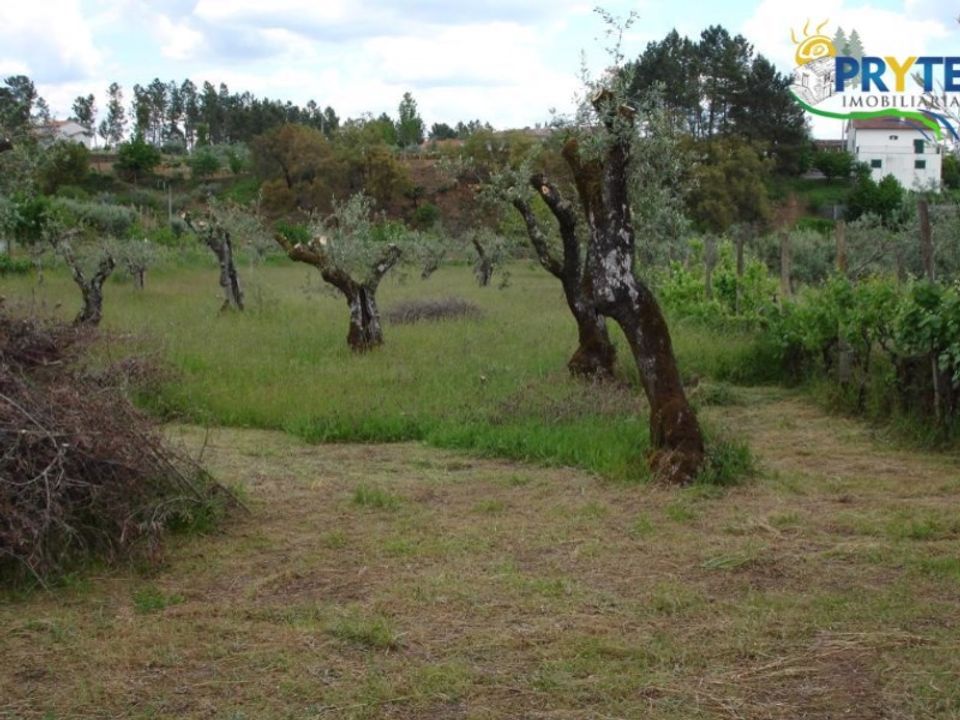Landejendom i Cabecudo, Castelo Branco - foto 1