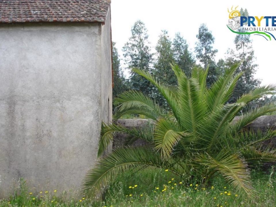 Landejendom i Cabecudo, Castelo Branco - foto 4