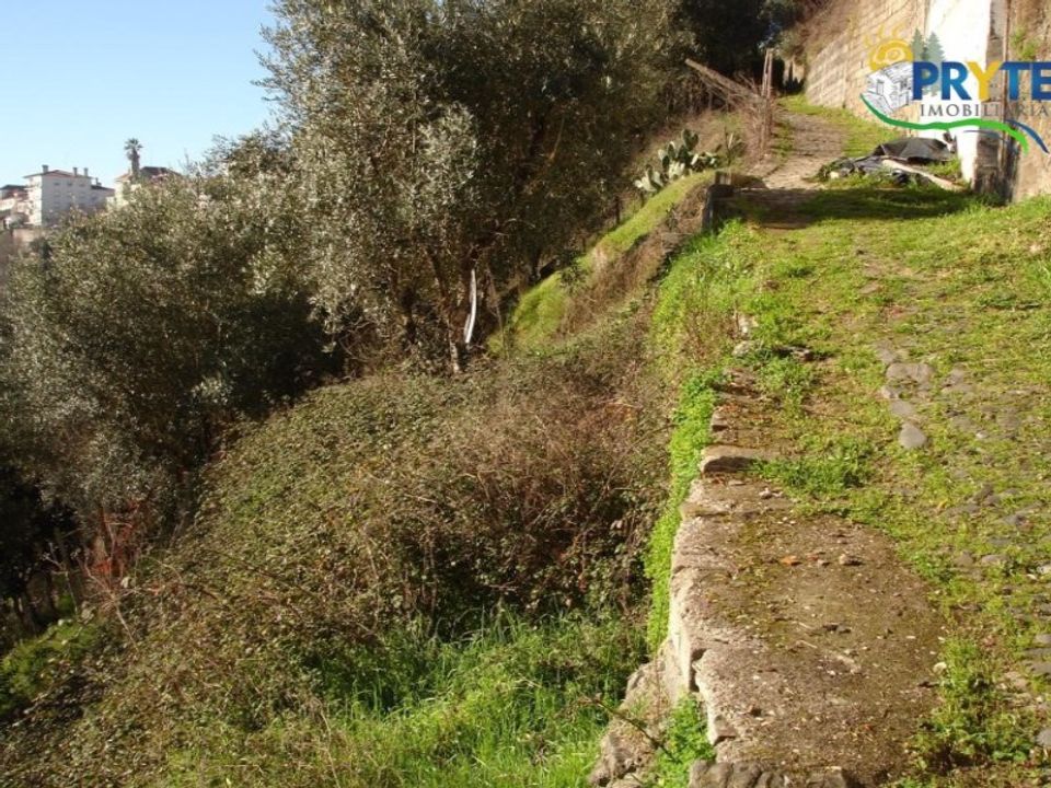 Helårsgrund i Serta, Castelo Branco - foto 3