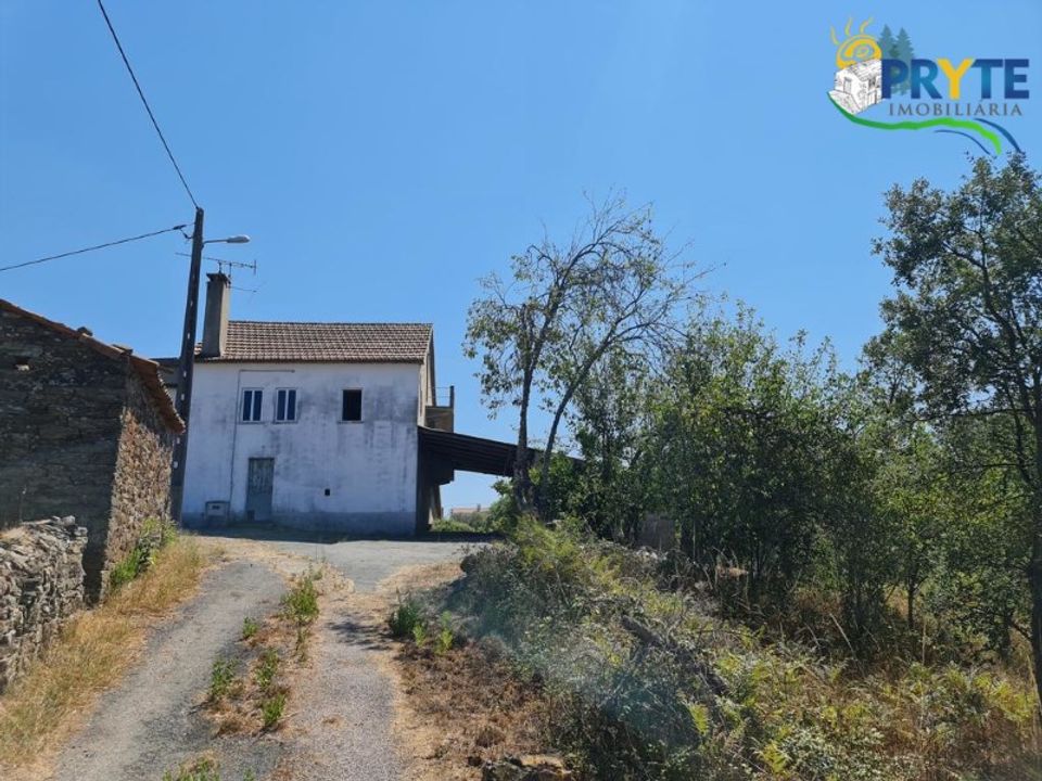 Farm i Serta, Castelo Branco - foto 2