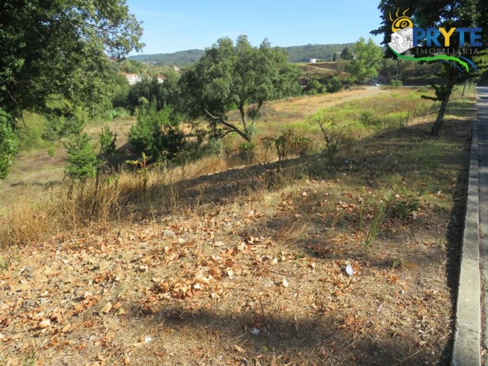 Helårsgrund i Serta, Castelo Branco - foto 5