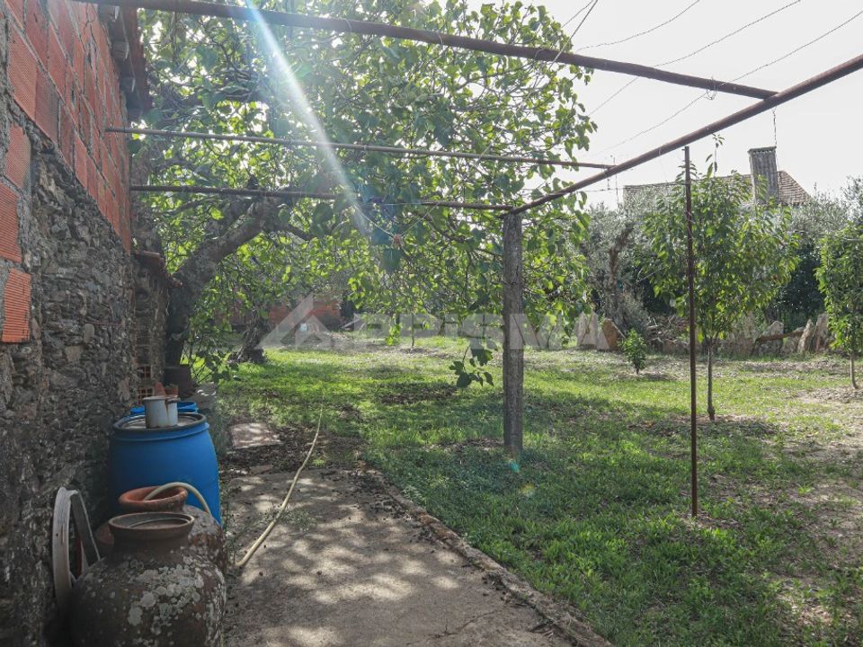 Helårsgrund i Vila Velha de Rodao, Castelo Branco - foto 4