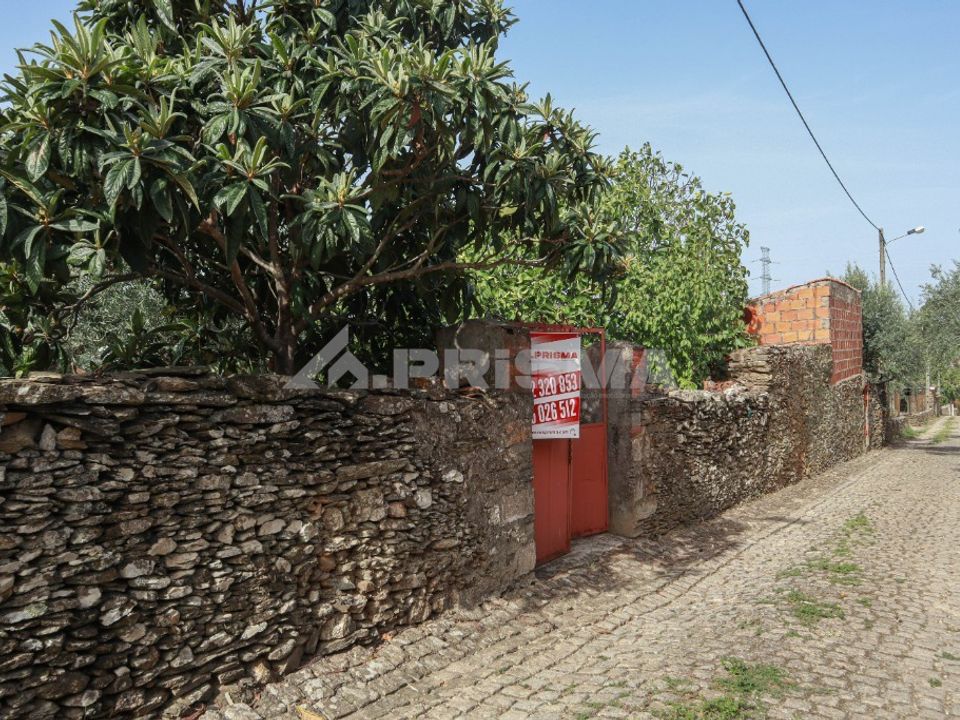 Helårsgrund i Vila Velha de Rodao, Castelo Branco - foto 5