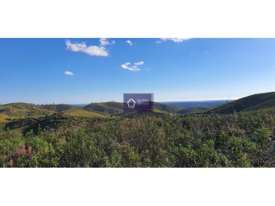 Helårsgrund i Monchique, Faro - foto 3