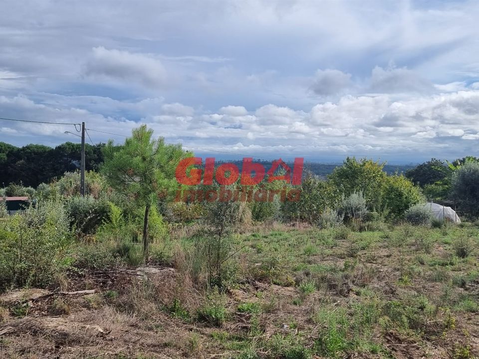 Helårsgrund i Tondela, Viseu - foto 2