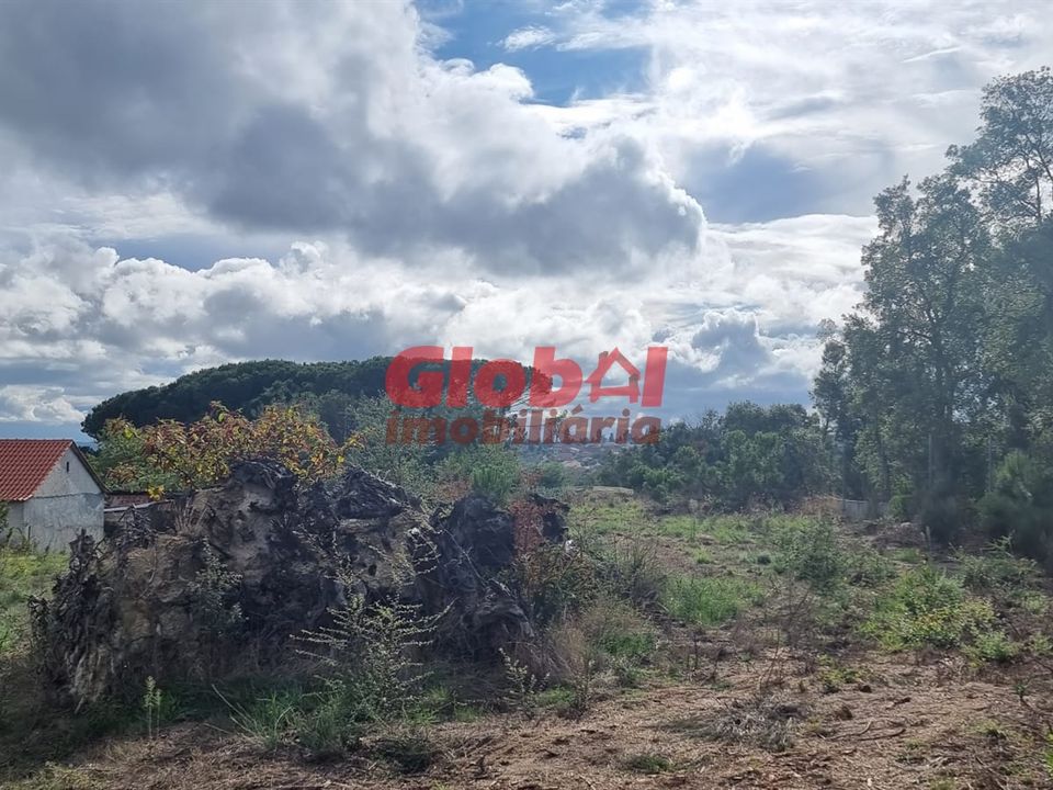 Helårsgrund i Tondela, Viseu - foto 4