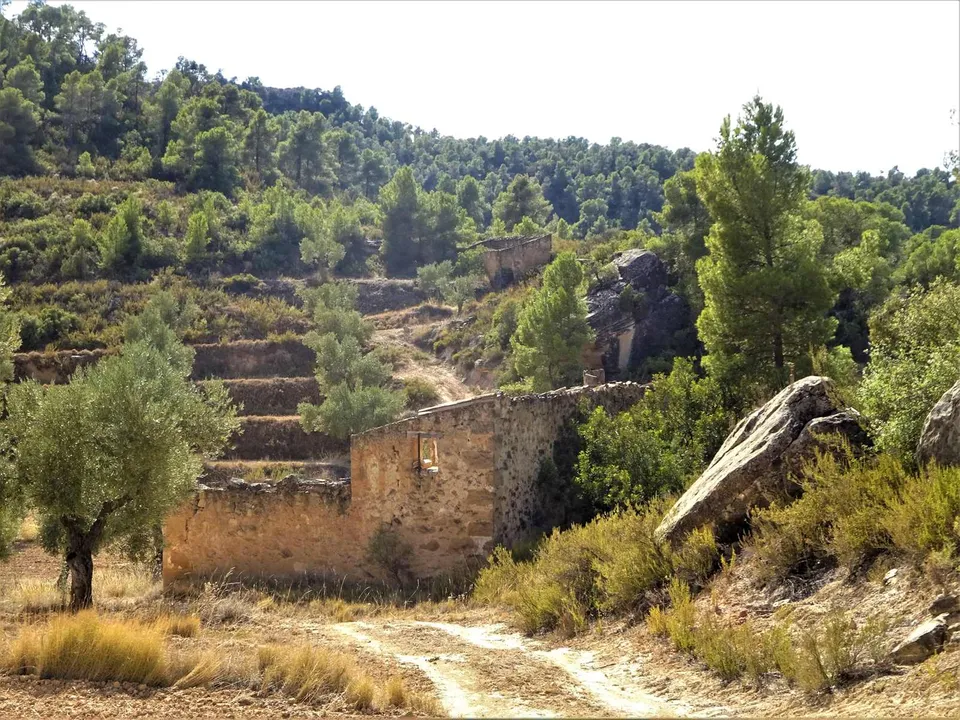 Finca i Maella, Zaragoza - foto 1