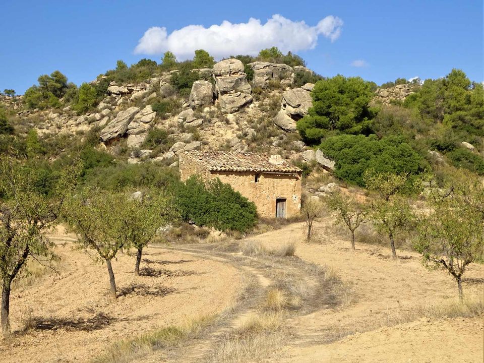 Finca i Maella, Zaragoza - foto 5