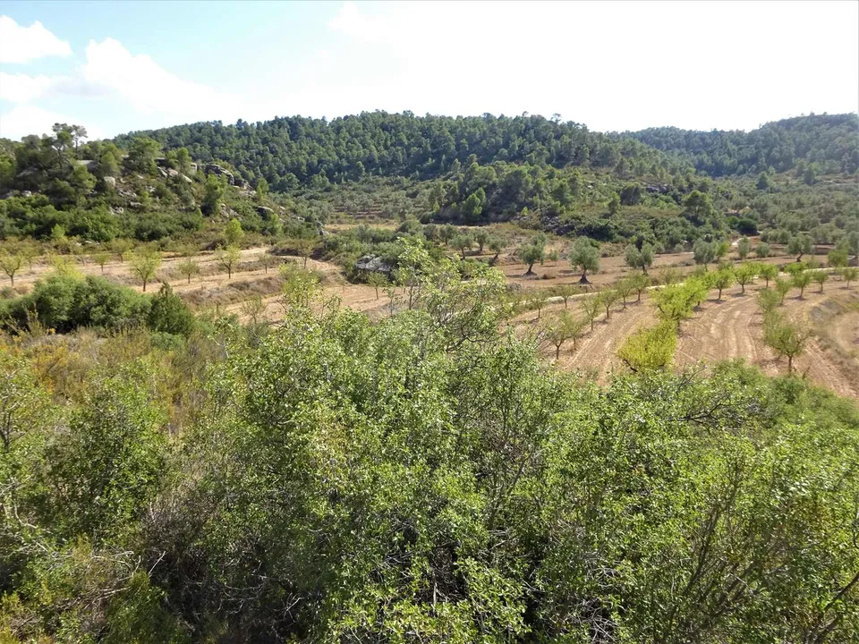 Finca i Maella, Zaragoza - foto 3