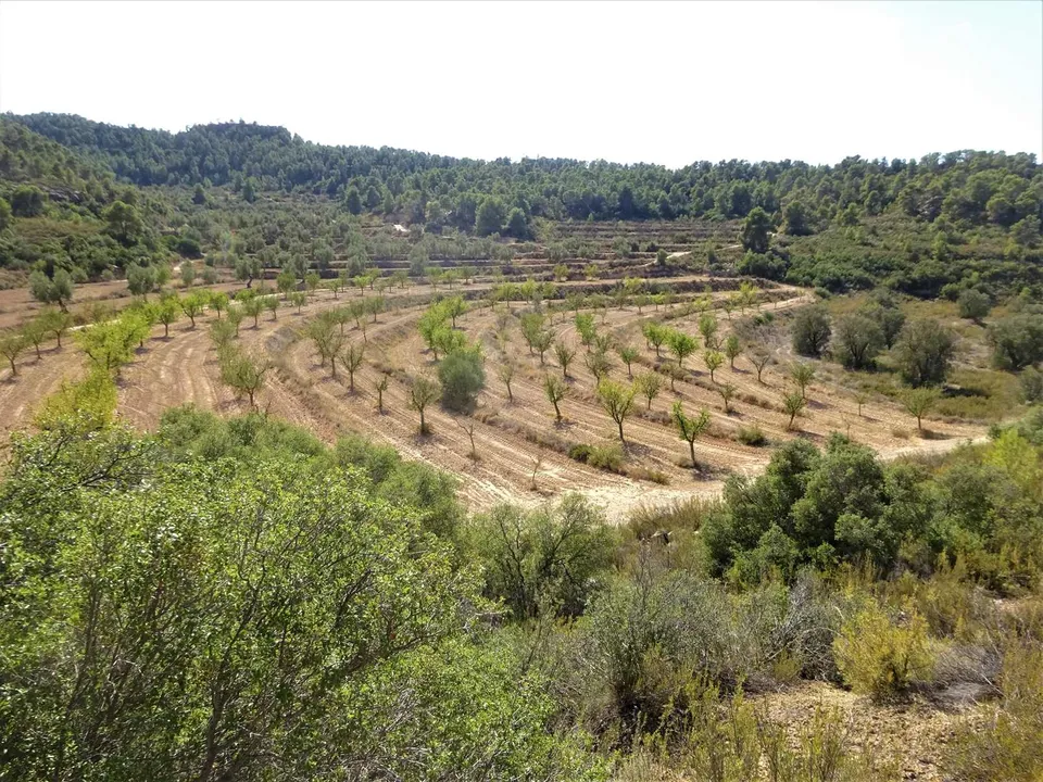 Finca i Maella, Zaragoza - foto 2
