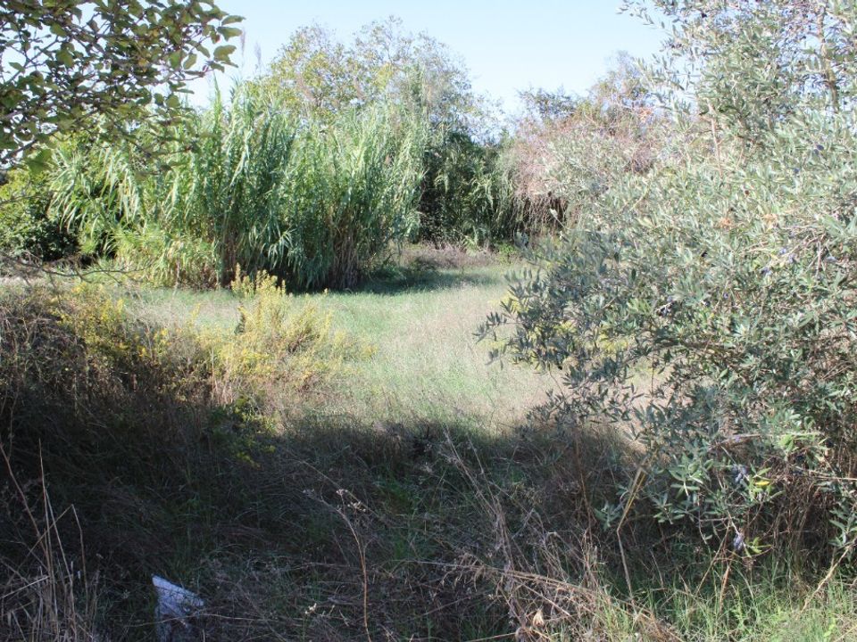 Helårsgrund i Tomar, Santarem - foto 1