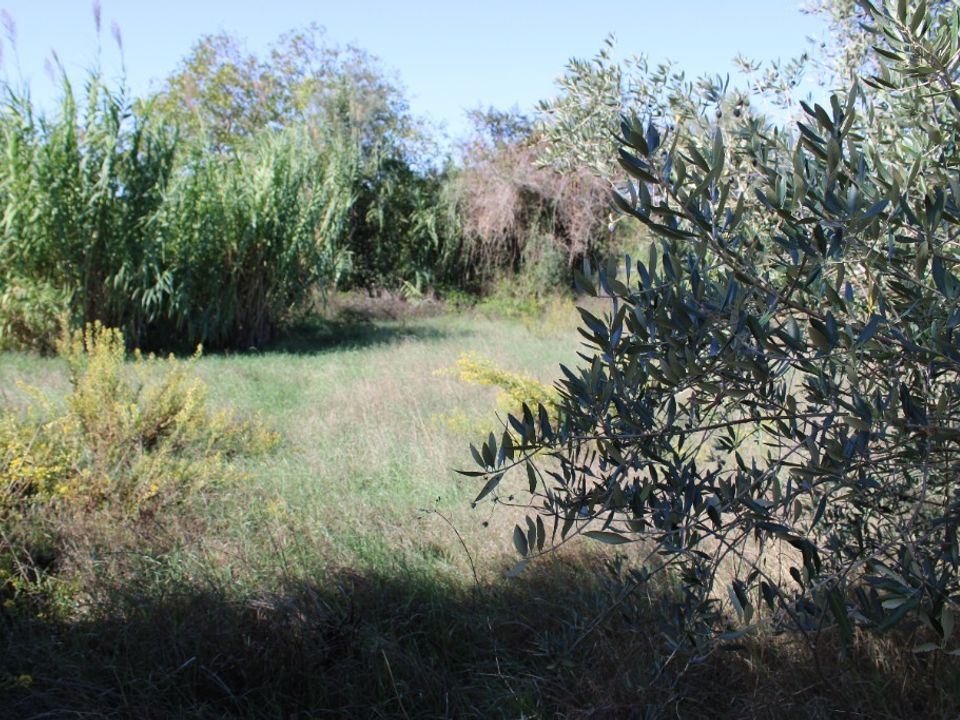 Helårsgrund i Tomar, Santarem - foto 2