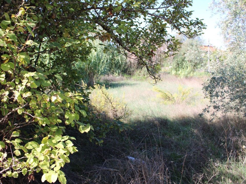 Helårsgrund i Tomar, Santarem - foto 3