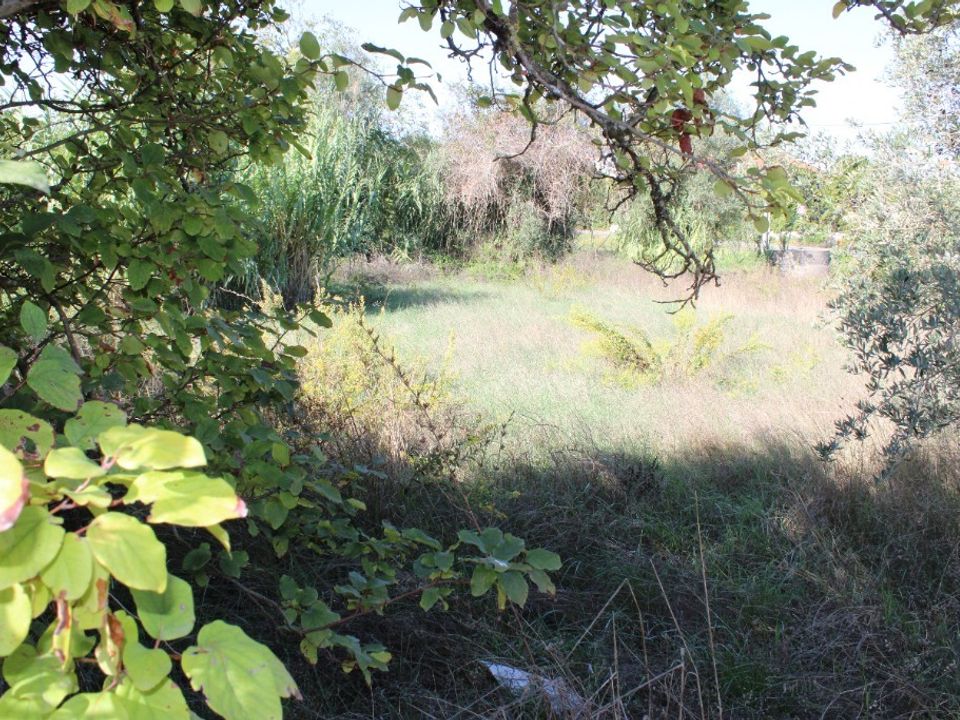 Helårsgrund i Tomar, Santarem - foto 4