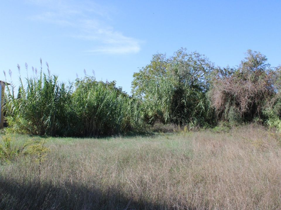 Helårsgrund i Tomar, Santarem - foto 5