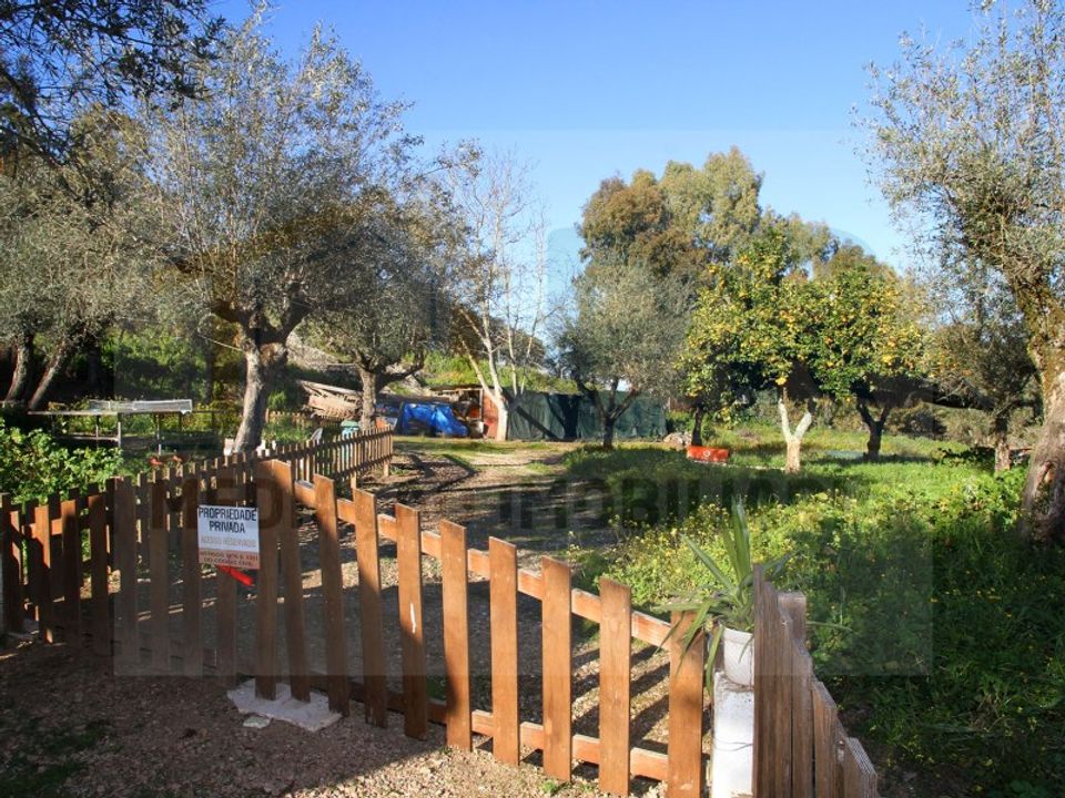 Villa i Borba, Evora - foto 3