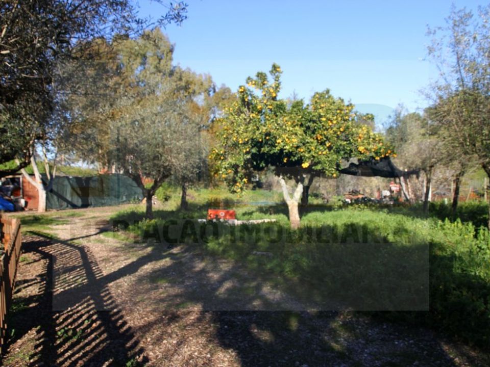 Villa i Borba, Evora - foto 5