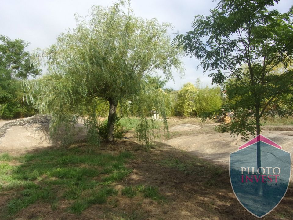 Farm i Viseu, Viseu - foto 2