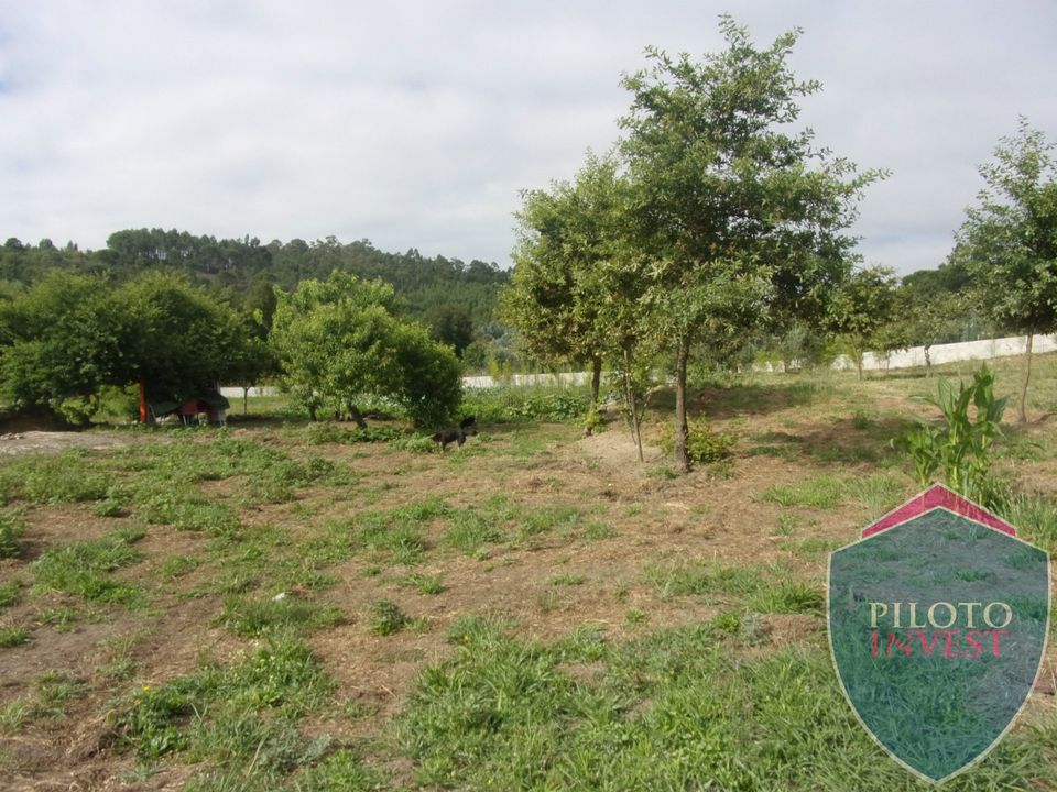 Farm i Viseu, Viseu - foto 3