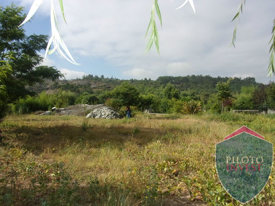 Farm i Viseu, Viseu - foto 4