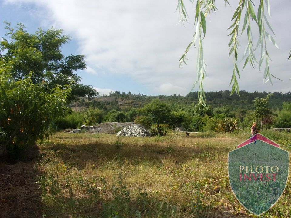 Farm i Viseu, Viseu - foto 5