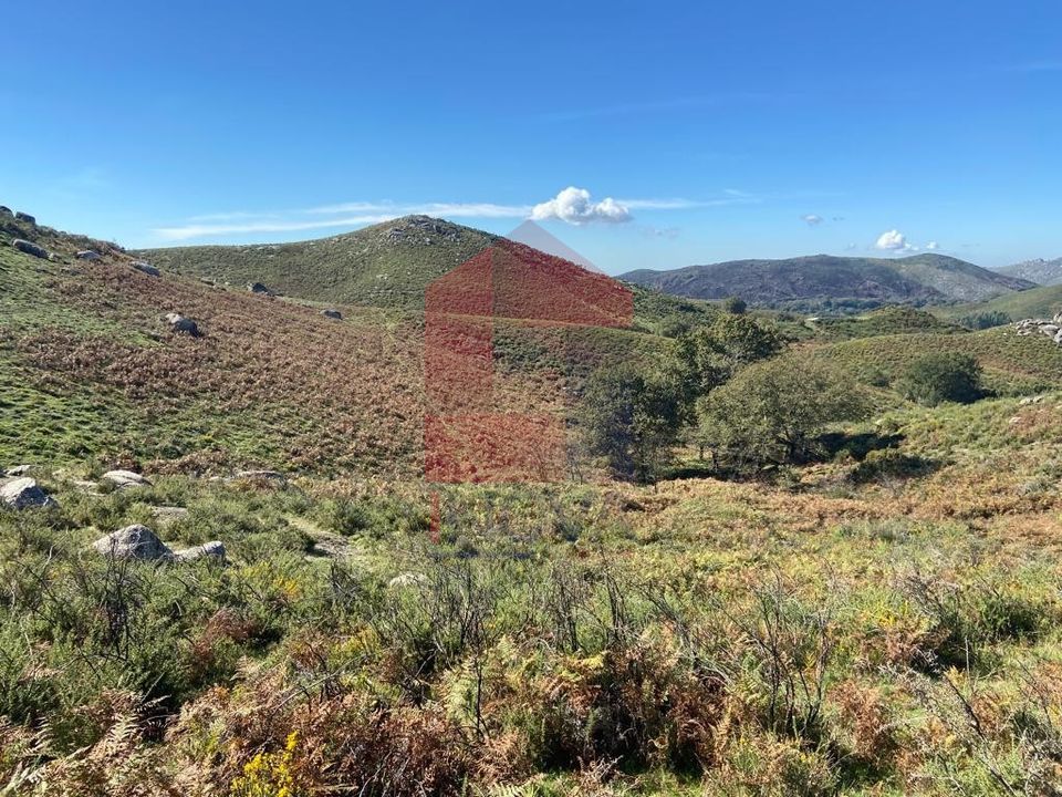 Helårsgrund i Vila Verde, Braga - foto 3
