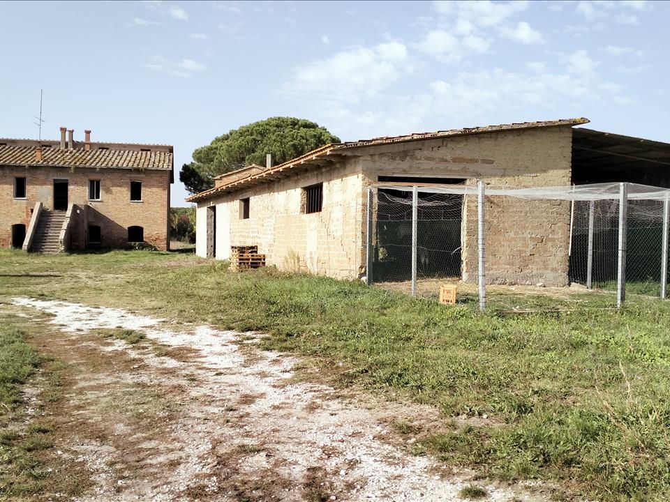 Farm i Castiglione del Lago, Perugia - foto 1