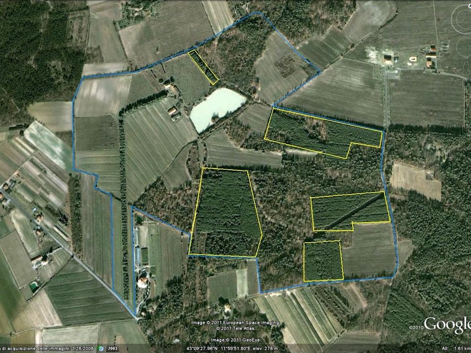 Farm i Castiglione del Lago, Perugia - foto 2