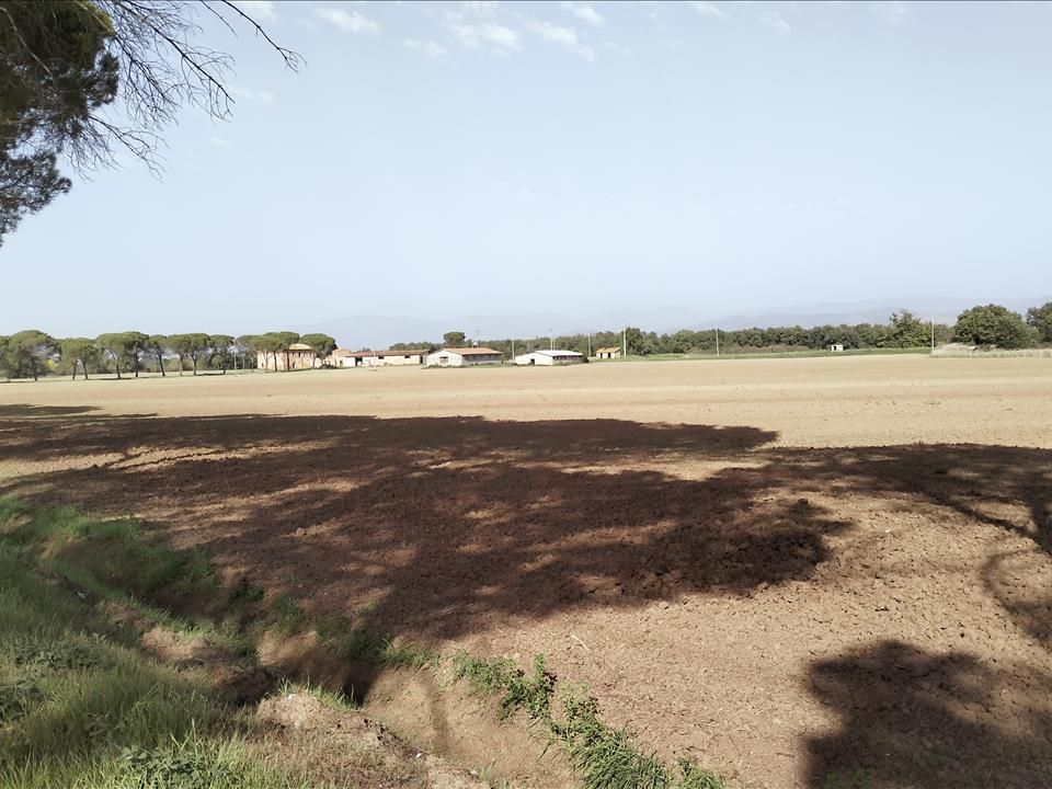 Farm i Castiglione del Lago, Perugia - foto 3