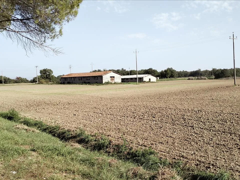 Farm i Castiglione del Lago, Perugia - foto 4