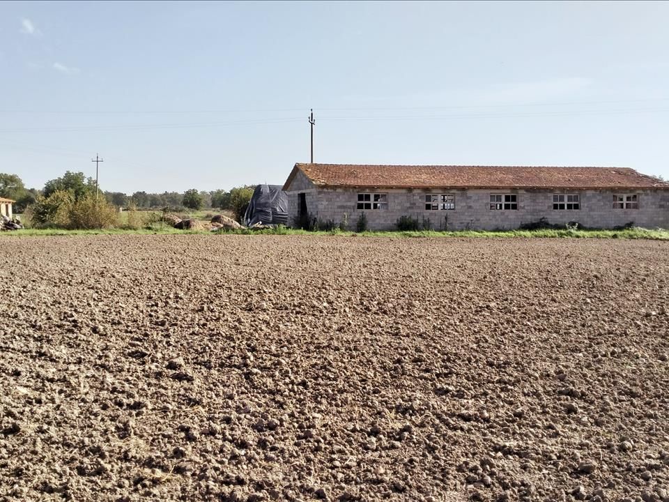 Farm i Castiglione del Lago, Perugia - foto 5