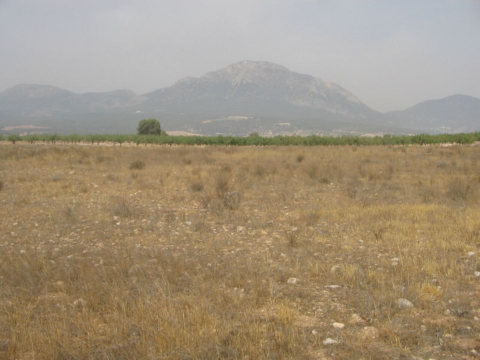 Villa i Lorca, Murcia - foto 2