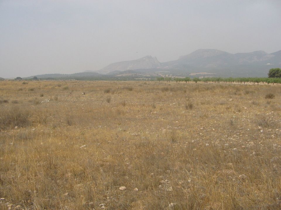 Villa i Lorca, Murcia - foto 3