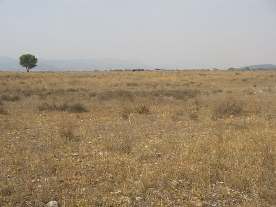 Villa i Lorca, Murcia - foto 4