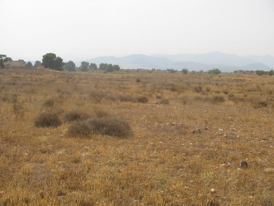 Villa i Lorca, Murcia - foto 5