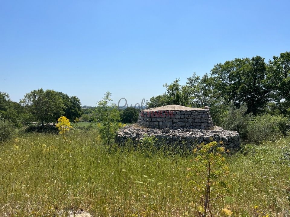 Landejendom i Ostuni, Brindisi - foto 4