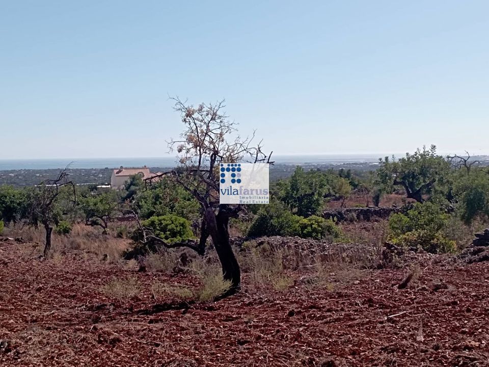 Helårsgrund i Faro, Faro - foto 2