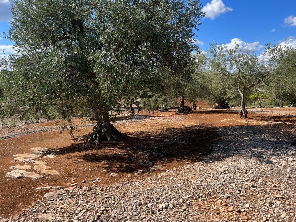 Landejendom i Cisternino, Brindisi - foto 3