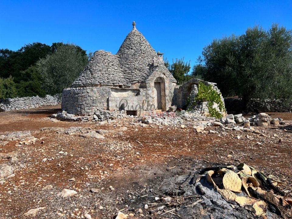 Landejendom i Cisternino, Brindisi - foto 5