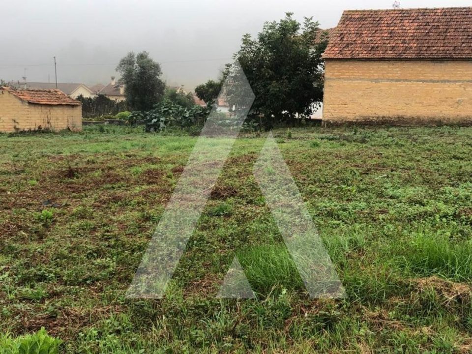 Helårsgrund i Anadia, Aveiro - foto 3