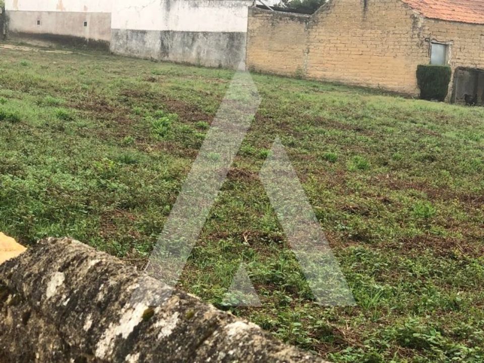 Helårsgrund i Anadia, Aveiro - foto 4