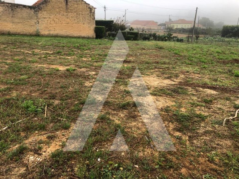 Helårsgrund i Anadia, Aveiro - foto 2