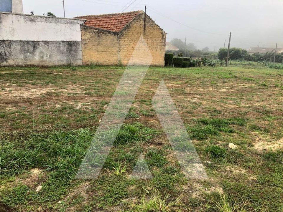 Helårsgrund i Anadia, Aveiro - foto 3