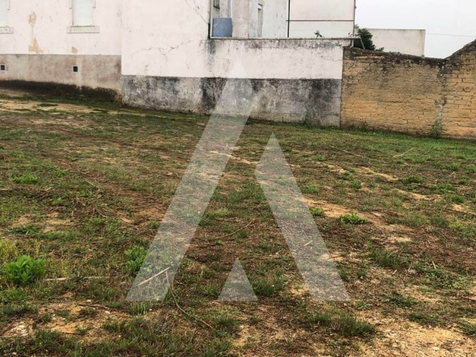 Helårsgrund i Anadia, Aveiro - foto 4