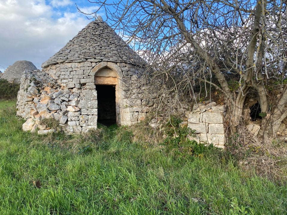 Landejendom i Cisternino, Brindisi - foto 1