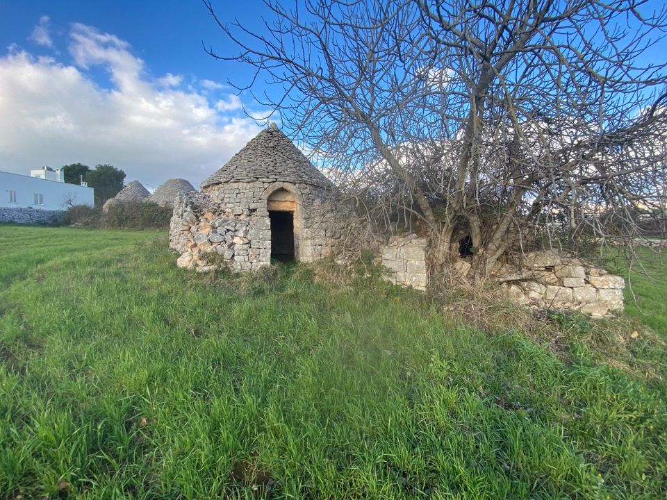 Landejendom i Cisternino, Brindisi - foto 3