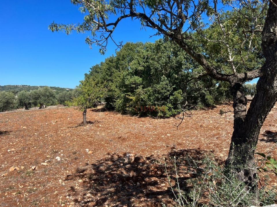 Helårsgrund i Ostuni, Brindisi - foto 1