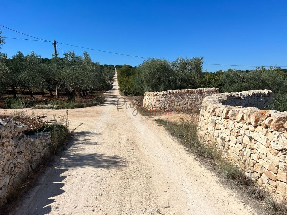 Helårsgrund i Ostuni, Brindisi - foto 3