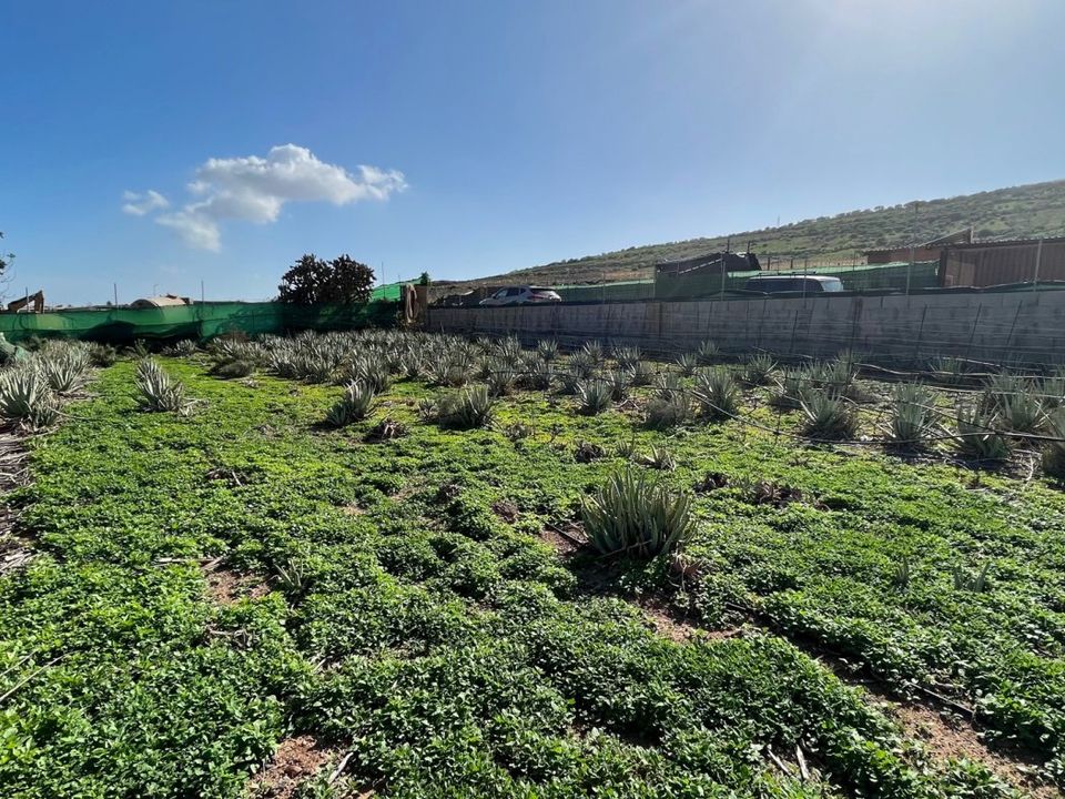 Landejendom i Santa Lucia De Tirajana, Gran Canaria - foto 3